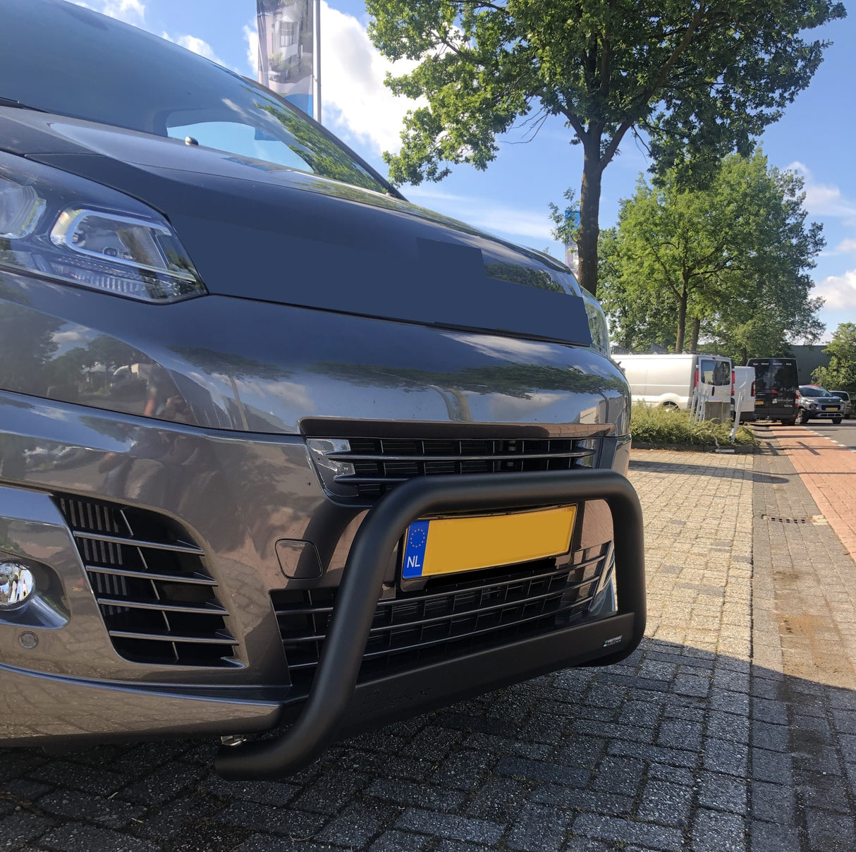 Pushbar Peugeot Expert 2016-